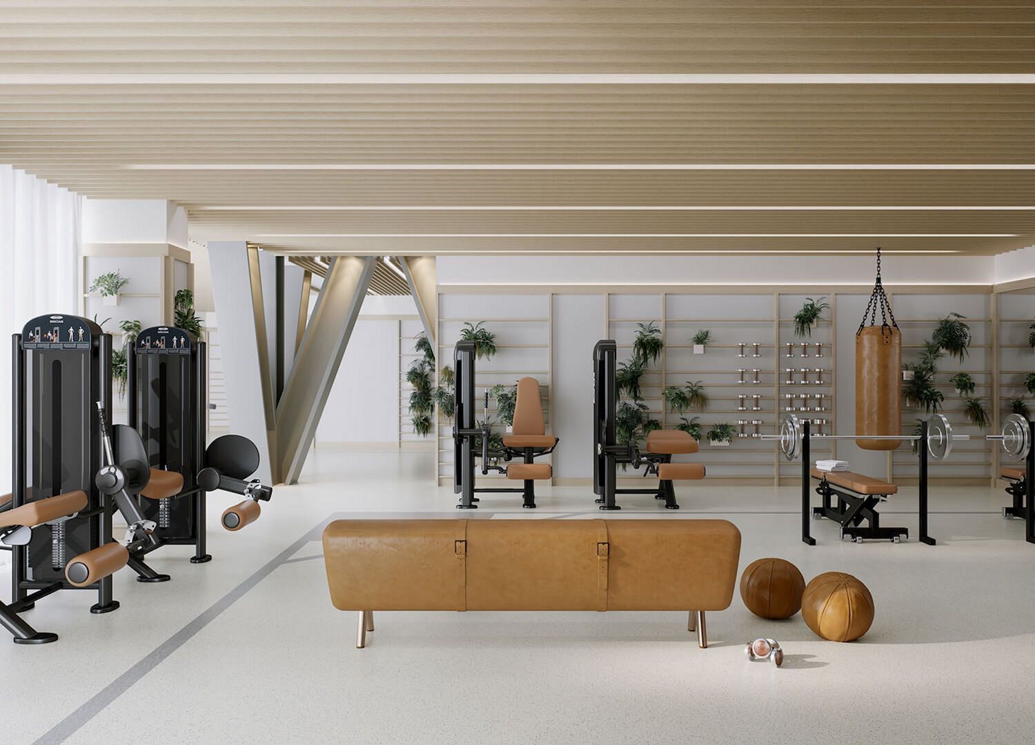 stylish gym in living room